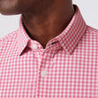 Load image into Gallery viewer, Leeward - Pink Gingham
