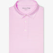 Load image into Gallery viewer, Versa Polo - Rose Feeder Stripe