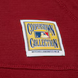Load image into Gallery viewer, Phillies Thermal Lightweight Hoodie