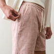 Load image into Gallery viewer, Saturday Beach Short (6") - Withered Rose Stripe
