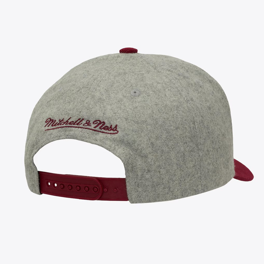 Phillies Tailsweeps Snapback