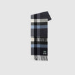 Load image into Gallery viewer, Jervois Road Scarf
