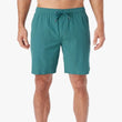 Load image into Gallery viewer, Anchor Short (8") - Seapine
