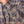Load image into Gallery viewer, Kamper
