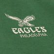 Load image into Gallery viewer, Eagles Essentials Fleece Hoodie
