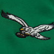Load image into Gallery viewer, Eagles Team Legacy Hoodie
