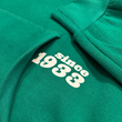 Load image into Gallery viewer, Eagles Team Origins Hoodie
