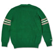 Load image into Gallery viewer, Eagles Head Coach Sweater
