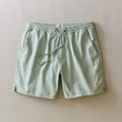 Load image into Gallery viewer, Lined Sport &amp; Swim Short (6") - Iceberg
